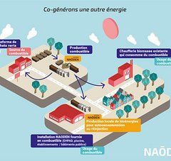 infographie. Texte : co-générons une autre énergie, Naoden.