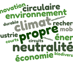 Nuage de mots Green Deal : innovation, circulaire, environnement, durable, climat, sensibilisation, recherche, mobilité, industrie, propre, courts, circuits, éducation, énergie, neutralité, économie, biodiversité